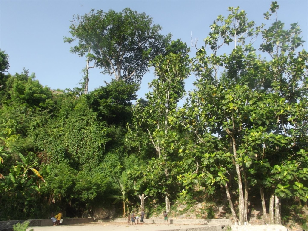 Mornes des Orangers near , Aquin, Cavaillon, Cavaillon HT8330