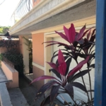 #19 Rue Chavannes Prolongé, Berthé, Port-au-Prince, Pétionville, Petionville HT6140