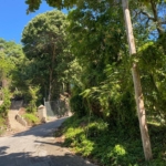 Rd 15, Cap-Haïtien, Bande du Nord HT1111